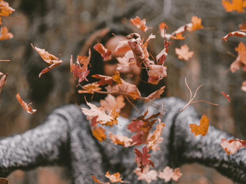 A person in a gray sweater throws autumn leaves into the air, with the falling leaves filling the camera.